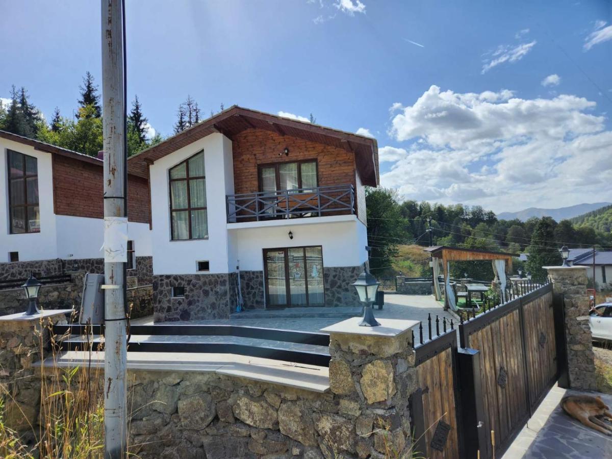 Villa In Mountains Bakuriani Exterior foto