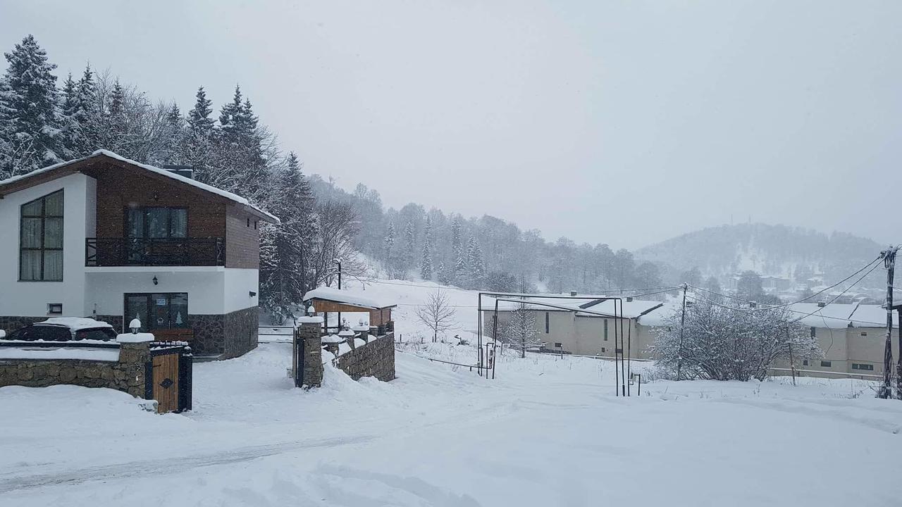 Villa In Mountains Bakuriani Exterior foto